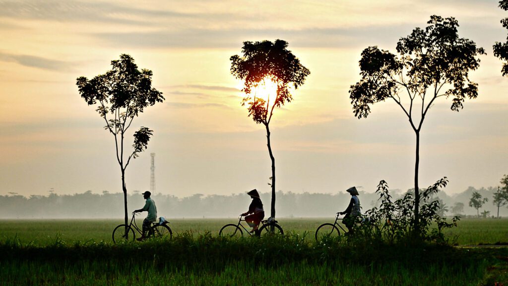 Across Ceylon - Cycling - Vietnam The Mekong Delta and Beyond