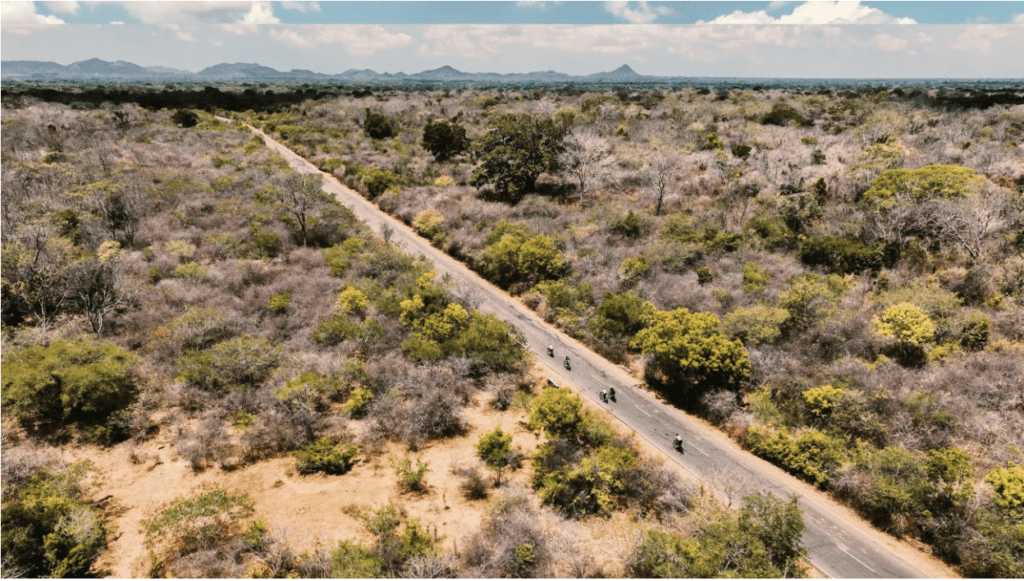 Across Ceylon - Cycling in Sri Lanka - Cycling through Yala